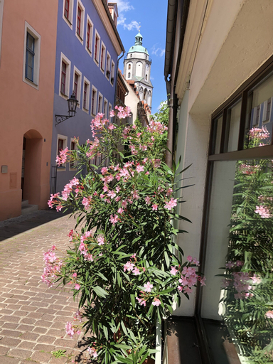 Stadthaus Rosengasse, Meißen