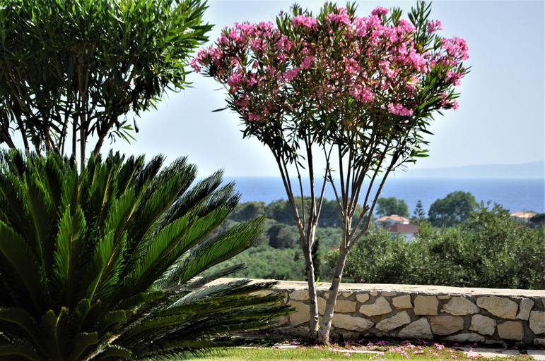 Others 5, Villa Belvedere Zakynthos, Ionian Islands