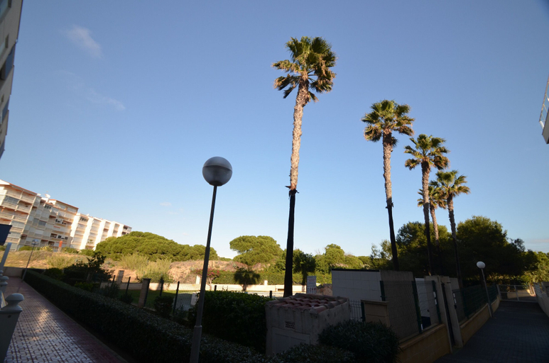 Others 4, 055 Paradise Vacation - Ac/wifi, Alicante