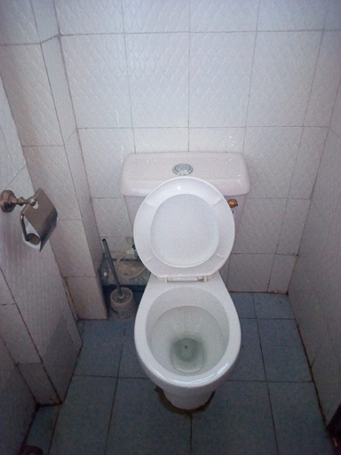Bathroom 3, Nyamindi Resort, Mwea