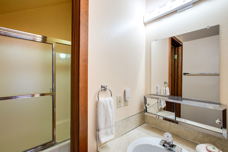 Bathroom 4, 85SW - Fireplace - WiFi - Washer/Dryer - Dishwasher - Sleeps 4, Whatcom