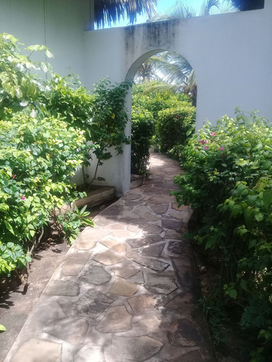 Others 5, Lion Villa, Malindi