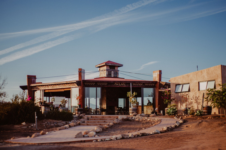 Vinos Xecué, Ensenada