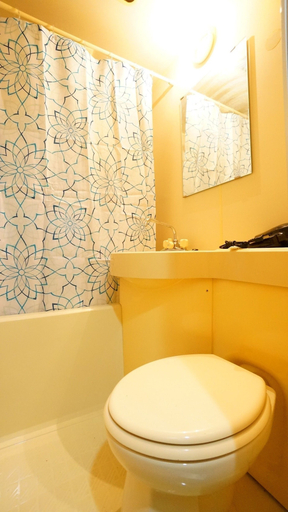 Bathroom 4, Tomato Takayama Station, Takayama