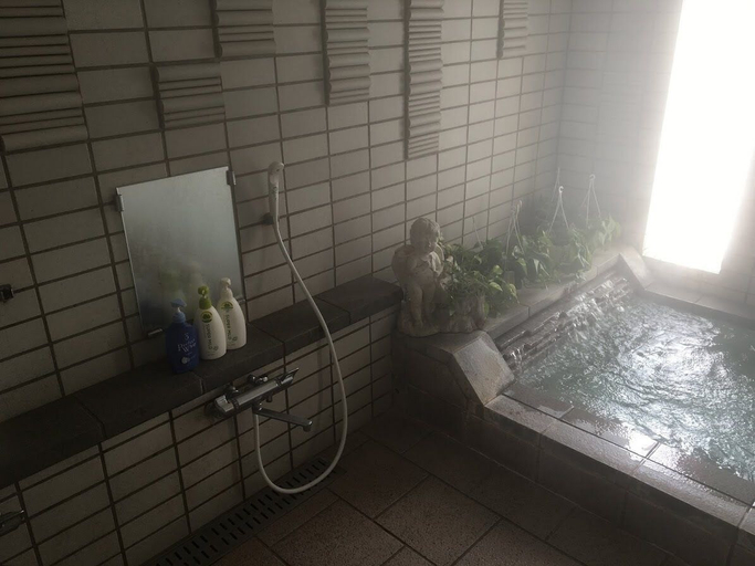 Bathroom 5, RESORT PENSION LE LAGON, Yamanakako