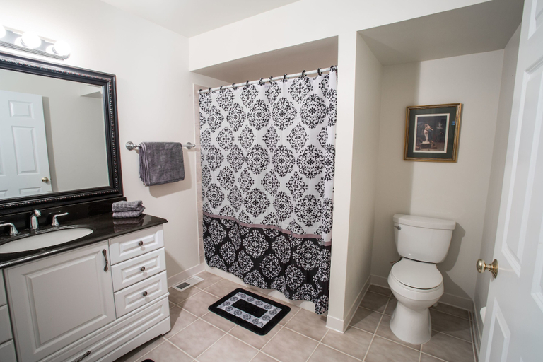 Bathroom 4, Loudoun Valley Manor, Loudoun