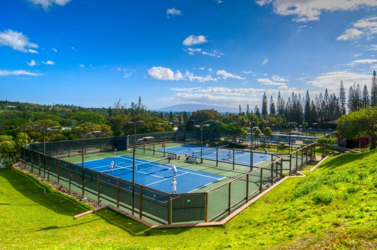 Kapalua Golf Villa 27v2 Gold Ocean View, Maui