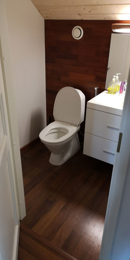 Bathroom, Villa Liebelitz, North Karelia