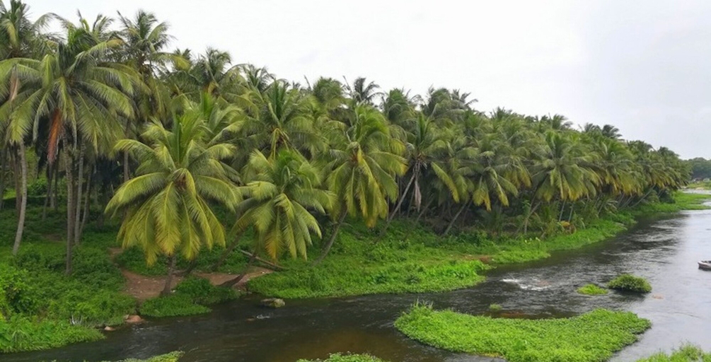 Exterior & Views 4, Room in Lodge - Royal Cottage, Anaimalai Multiple Room, Coimbatore