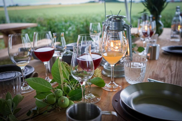 Food & Drinks 5, Turistgården - House Of Ven, Landskrona