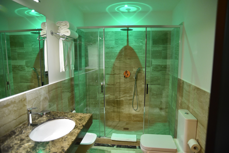 Bathroom 5, Minerva Relais, Roma