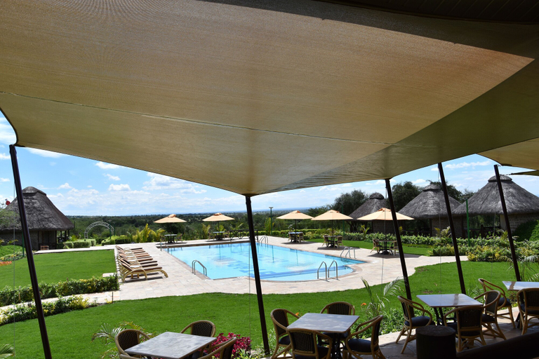 Food & Drinks 4, Starling Bird Resort, Mavoko