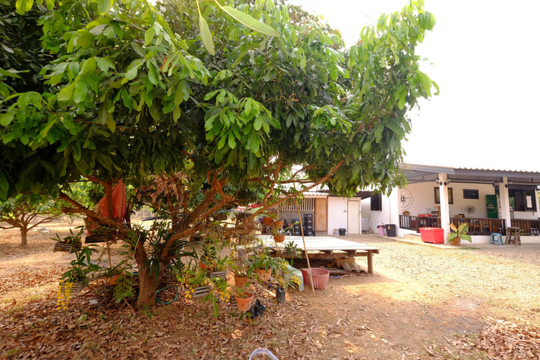 Others 5, Mini Guesthouse, Mae Sariang