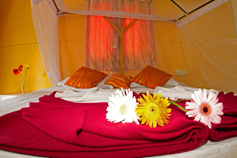 Bedroom 4, Cuba Patnem Bungalows, South Goa