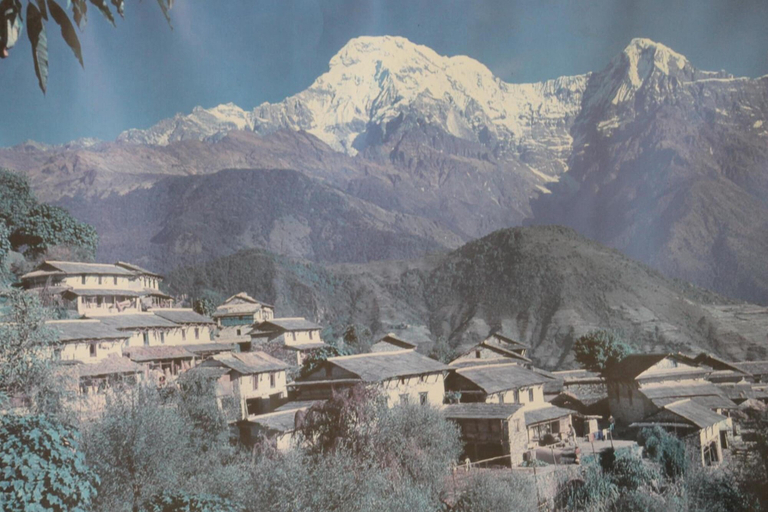 Others 4, Mount Annapurna Guest House, Bagmati