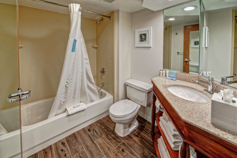 Bathroom 5, Hampton Inn by Hilton Charlotte/Matthews, Mecklenburg