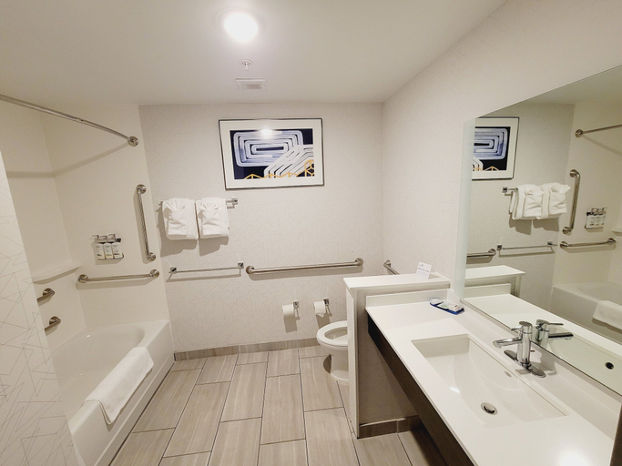 Bathroom 3, Holiday Inn Express & Suites JACKSON by IHG, Butts
