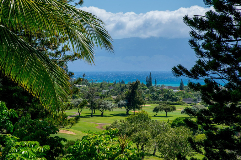 Others 4, Kapalua Golf Villa 27v2 Gold Ocean View, Maui