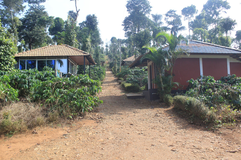 Others 5, Muccole Stay, Kodagu