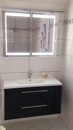 Bathroom 3, Bornscheuer, Wartburgkreis