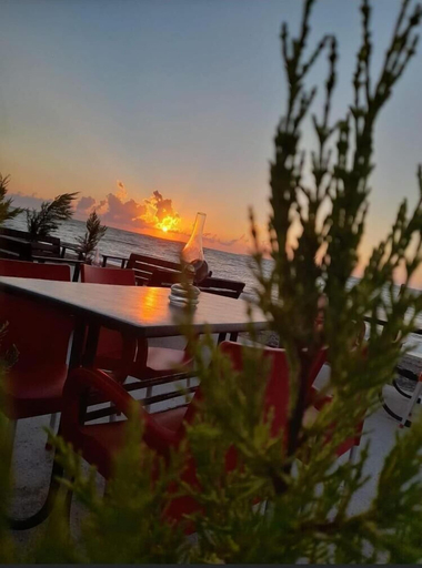 Others 5, İlyada Pansiyon, Cide