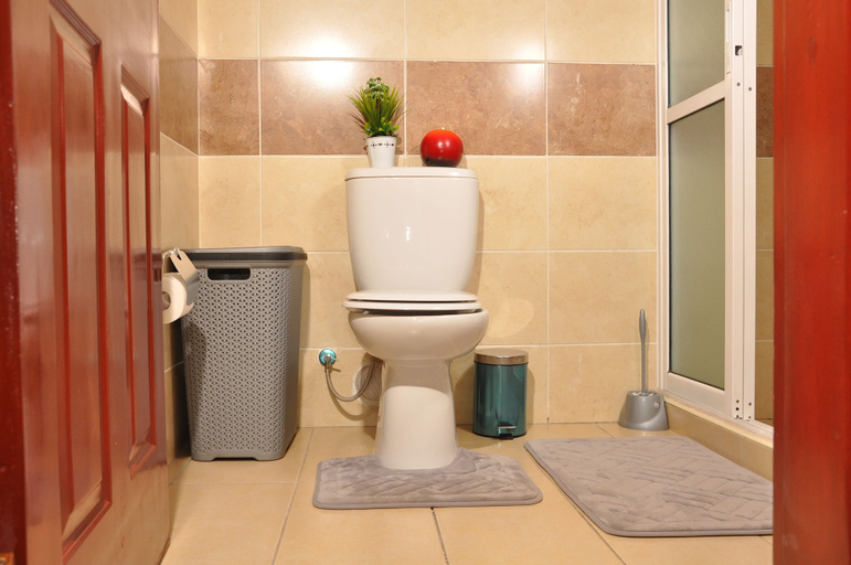Bathroom 4, Sherry Homes Fahari II, Dagoretti North