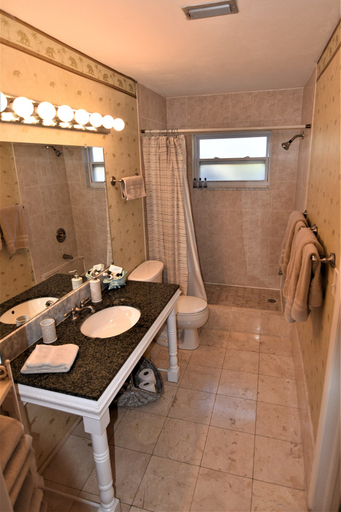 Bathroom 3, Oasis at John's Pass Madeira Beach, Pinellas