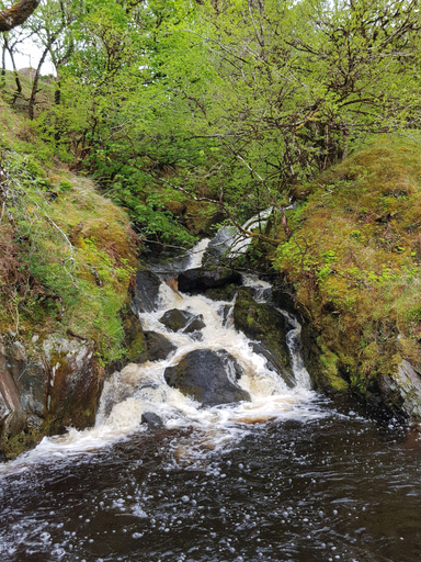 Others 3, Loch Awe Luxury Eco Cabins, Argyll and Bute