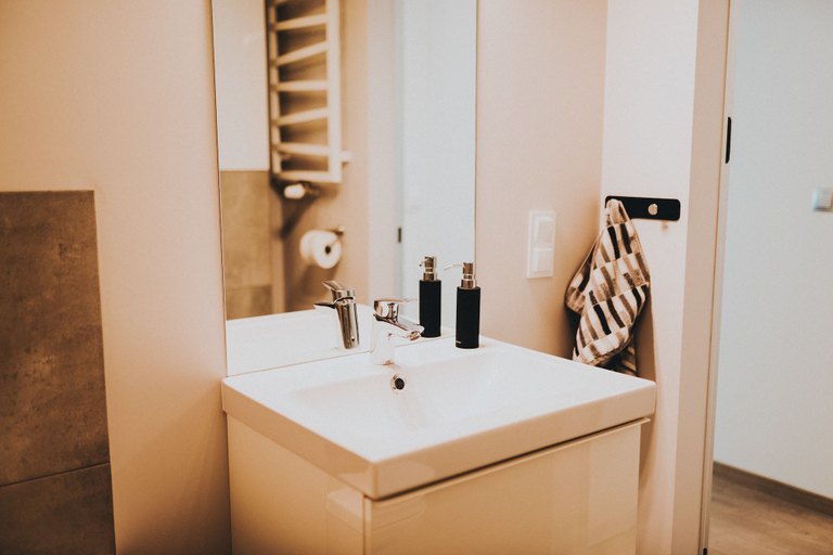 Bathroom 4, Elite Apartments Nature & Recess, Gdańsk City