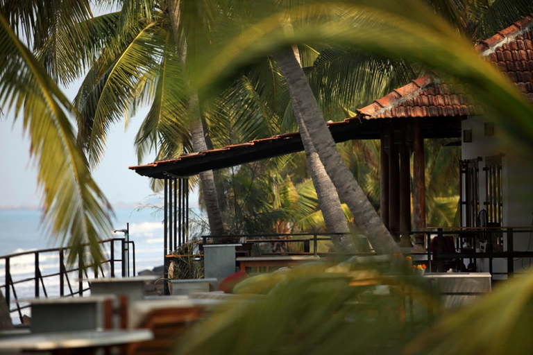 Food & Drinks 5, 36 Palms Boutique Retreat, Ernakulam