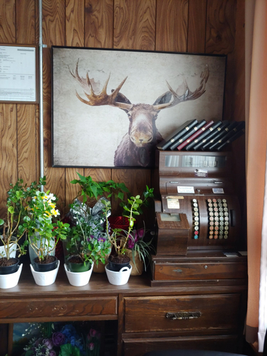 Others 5, Town and Country Motel in Nipigon, Thunder Bay