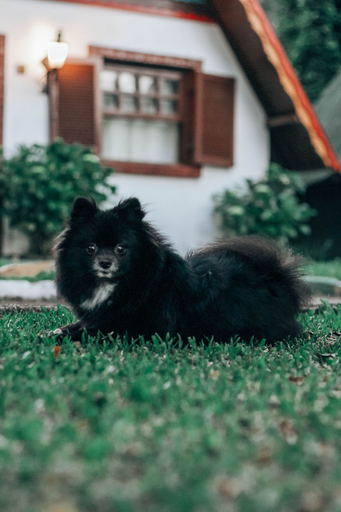 Others 5, Villa Chalés Gramado - OH HOTEIS, Gramado