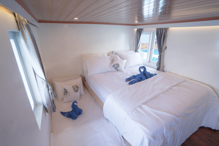 Others 4, AraVista Liveaboard, West Manggarai
