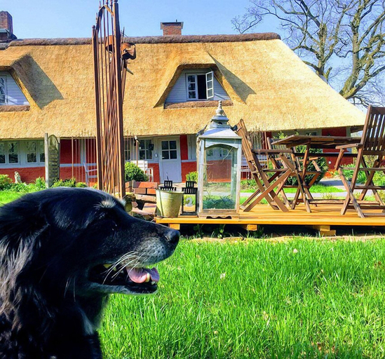 Exterior & Views 2, Wegekaten - Ferienwohnungen unter Reet, Segeberg