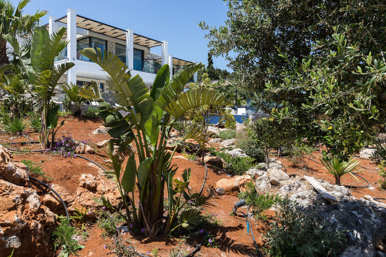 Exterior & Views 2, Villa Blue Skyline, Crete