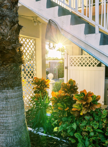 Exterior & Views 2, Beachside Gardens Apartments by Lowkl, Broward