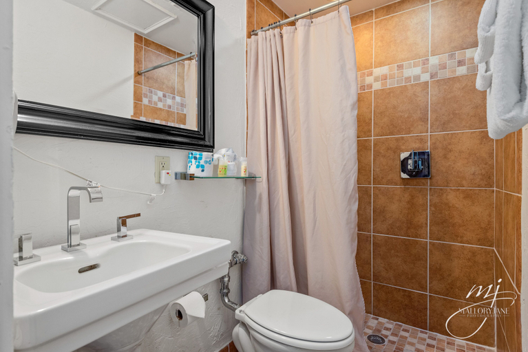 Bathroom 4, Hotel Seville, Boone