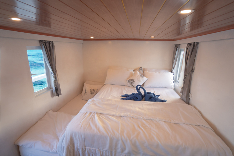 Bedroom 2, AraVista Liveaboard, West Manggarai