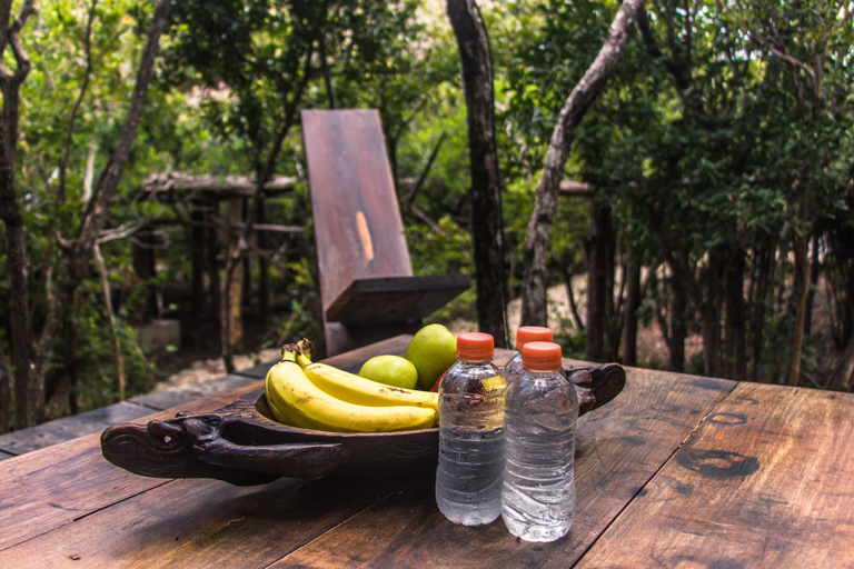 Food & Drinks 5, Roc Jungle Tulum, Cozumel