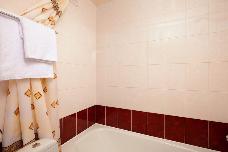 Bathroom 3, Zarechnaya Hotel, Nizhniy Novgorod gorsovet