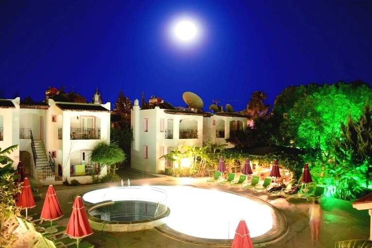Outdoor pool 5, Villa Nergiz Apart Otel, Bodrum