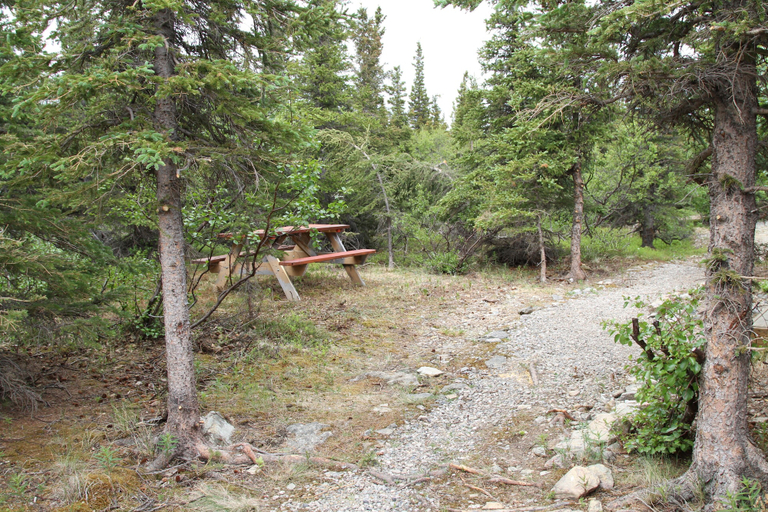Others 4, Denali RV Park and Motel, Denali