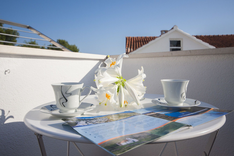 Others 4, Apartment Pico Bello, Vodice