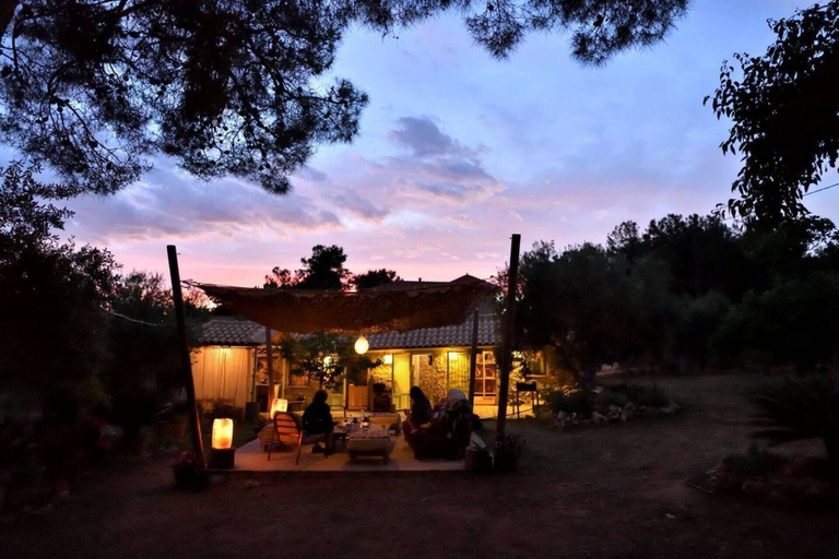 Exterior & Views, Cocoon Tent in an Olive Grove, Peloponnese