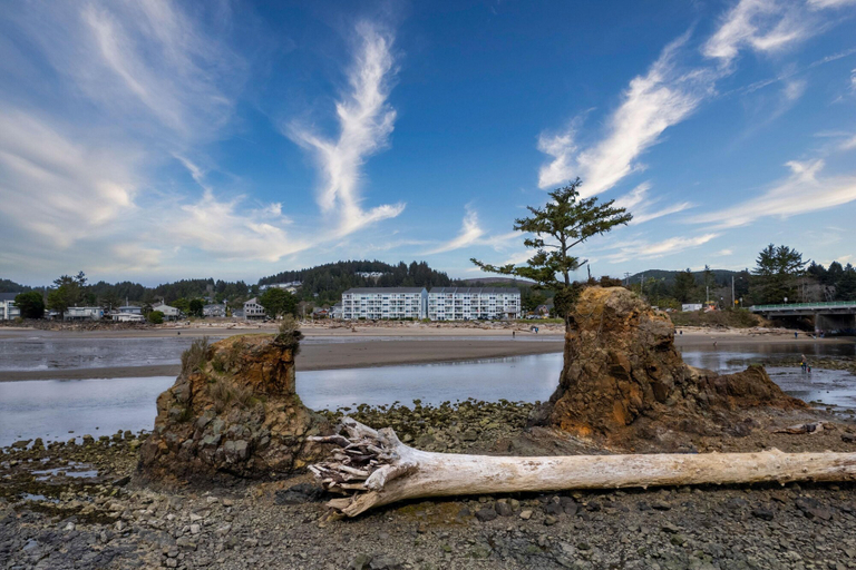 Others 4, Waters Edge 304, Lincoln