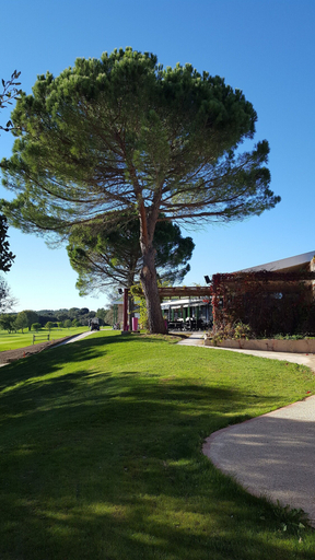 Others 5, Golf & Résidence de Nîmes Vacquerolles, Gard
