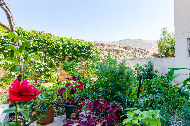 Others 5, Apartment Lapad Gardin, Dubrovnik
