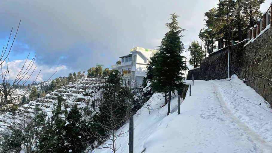 Others 5, The Royals Apricot Garden, Tehri Garhwal