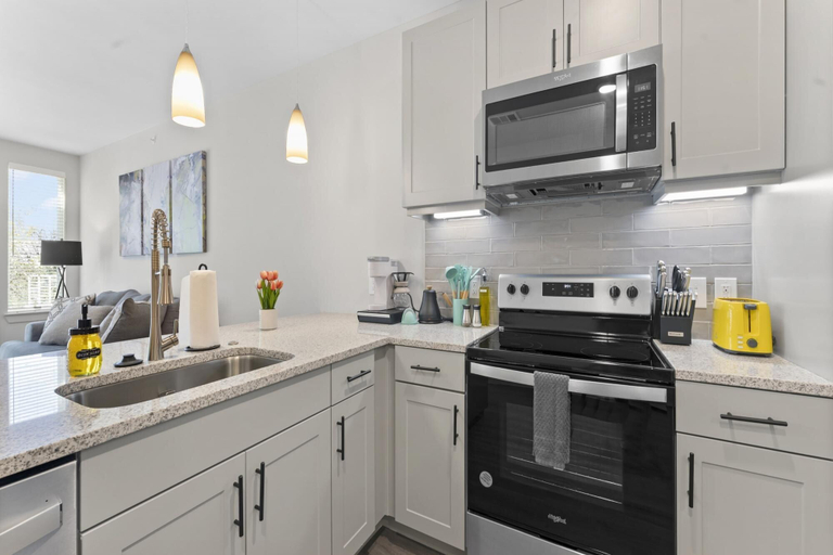Others 3, Chic King Bed 1BR Suite 5 Min to DT, Travis