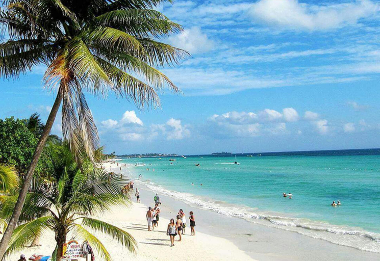Others 4, Beautiful 2-bed Apartment in Sunny Jamaica